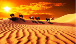 丝绸之路视频,探寻古代商贸文明的辉煌足迹